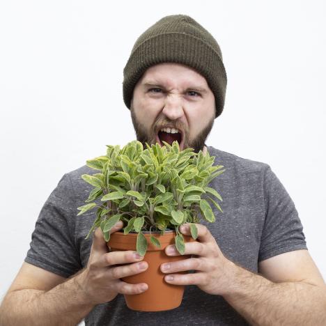 Plants Easy Kräuter