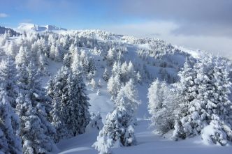 Winter im Gartencenter